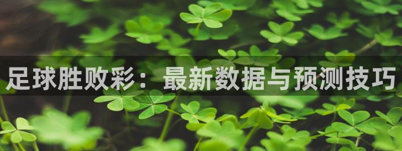 jrkan直播nba免费：足球胜败彩：最新数据与预测技巧