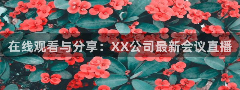 jrkan直播免费体育直播：在线观看与分享：XX公司最新会议直播