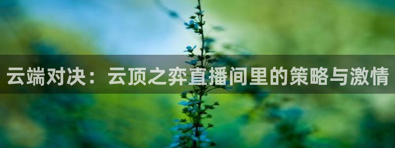 新闻图片