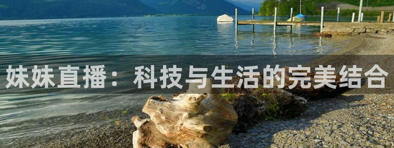jr看直播nba：妹妹直播：科技与生活的完美结合
